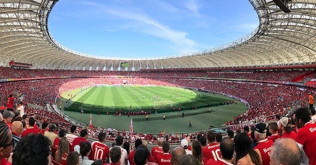 山东泰山队